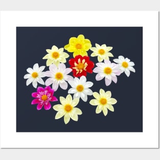 Collarette Dahlias Floral Photo Cutout Posters and Art